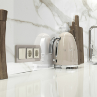 Розетка с заземлением, без рамки Werkel айвори матовый W1171062