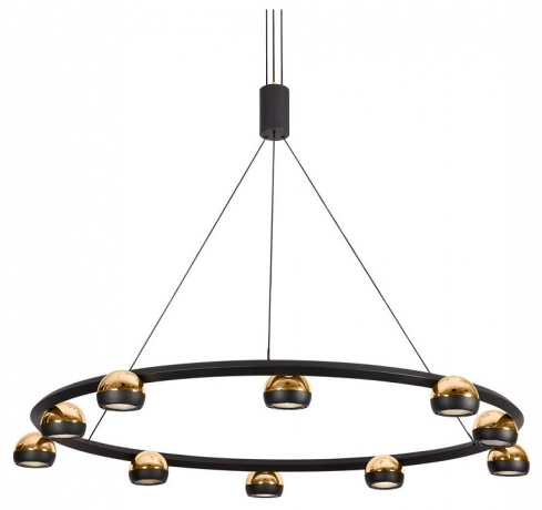 Подвесная люстра Lussole Lassen LSP-7253 