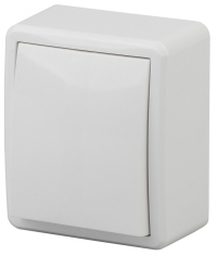 Выключатель одноклавишный ЭРА Эксперт 10AX 250V 11-1201-01 Б0020653