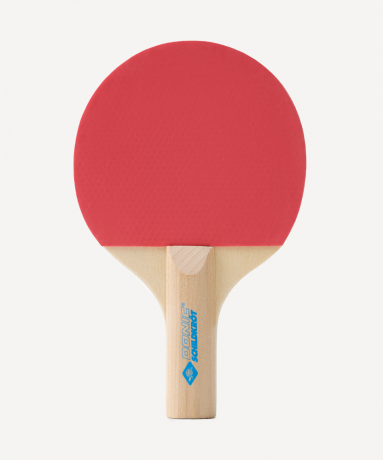 Нарушена упаковка! <772249> Набор для настольного тенниса Tischtennis-Mini-Set, 2 детские ракетки, 3 мяча, сетка Donic ЦБ-00004525