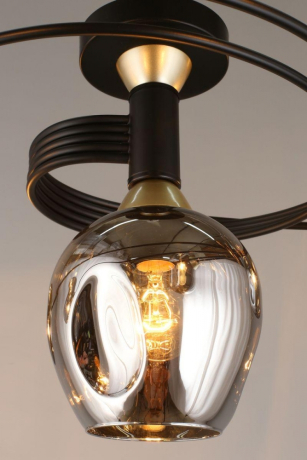 Потолочная люстра Aployt Flor APL.611.17.06 