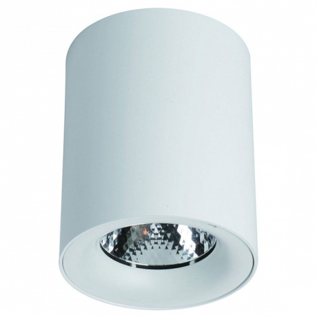 Накладной светильник Arte Lamp Facile A5130PL-1WH 