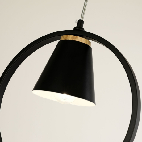 Подвесной светильник F-promo Uccello 2938-1P 