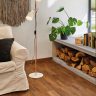 Торшер Neordic Haldar Paulmann 79660 