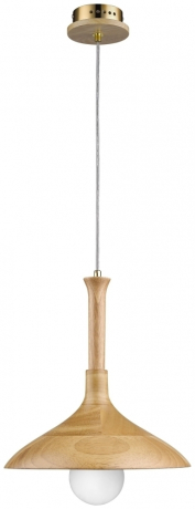 Подвесной светильник Wertmark Plato WE503.01.716 