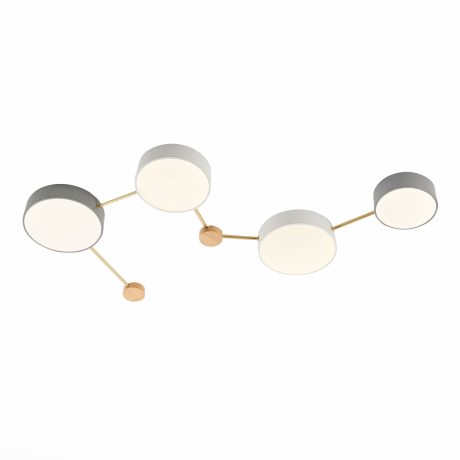 Накладной светильник EVOLUCE Dossena SLE600102-04 