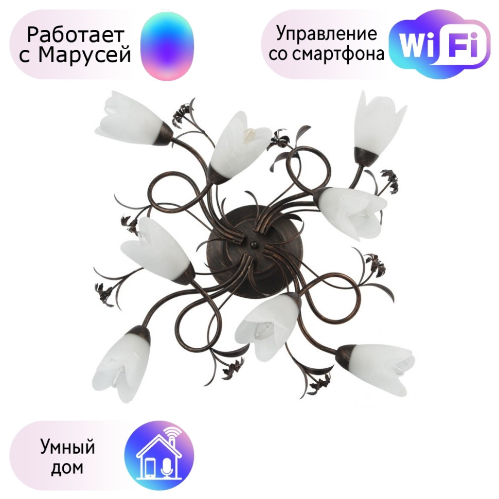 Потолочная люстра MW-Light Аида с поддержкой Маруся 323013708-М, цвет черный - фото 1