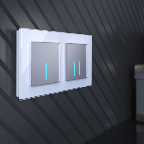 Выключатель одноклавишный с подсветкой без рамки Werkel серебряный W4510006