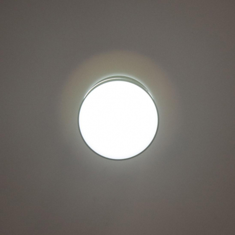 Накладной светильник Citilux Борн CL745011N 