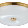 Накладной светильник Odeon Light Pelow 4956/5 