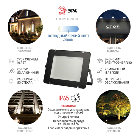 Прожектор светодиодный уличный Эра -0-65K-300 (318747)