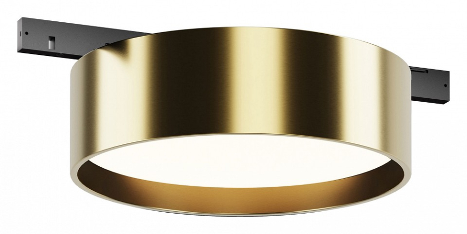 Накладной светильник Maytoni Technical Zon TR189-1-12W4K-BBS 