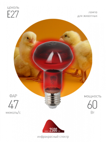 Нарушена упаковка! <383566> Инфракрасная лампа ЭРА ИКЗК 230-60 R63 Е27 для обогрева животных 60 Вт Е27