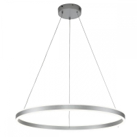 Подвесной светильник Indigo Galass 14001/1P Silver