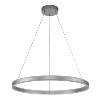 Подвесной светильник Indigo Galass 14001/1P Silver