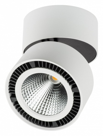 Накладной светильник Lightstar Forte Muro 213830 