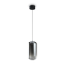 Подвесной светильник Freya Idol FR6134PL-L4SM