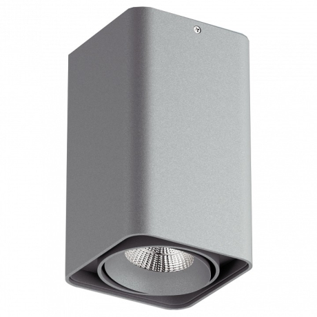 Накладной светильник Lightstar Monocco 52139 