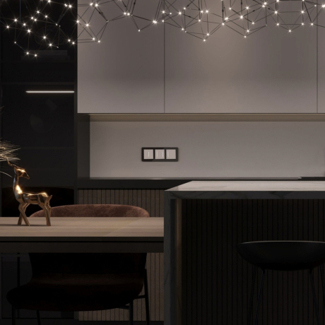 Сенсорный выключатель двухклавишный с подсветкой (белый) W4522001 Werkel 