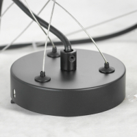 Подвесная люстра Lussole Loft Fishers LSP-8797