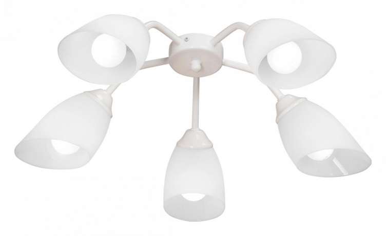 Потолочная люстра Vitaluce V31950 V31950/5PL 