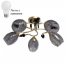Люстра потолочная с лампочками DeMarkt 463012505+Lamps 