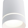 Накладной светильник Arte Lamp Elle A1909PL-1WH 
