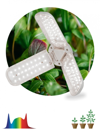 Нарушена упаковка!  <446445> Фитолампа для растений светодиодная ЭРА FITO-24W-Ra90-E27-FOLD 3-х лепестковая полного спектра 24 Вт Е27 (Б0057285)