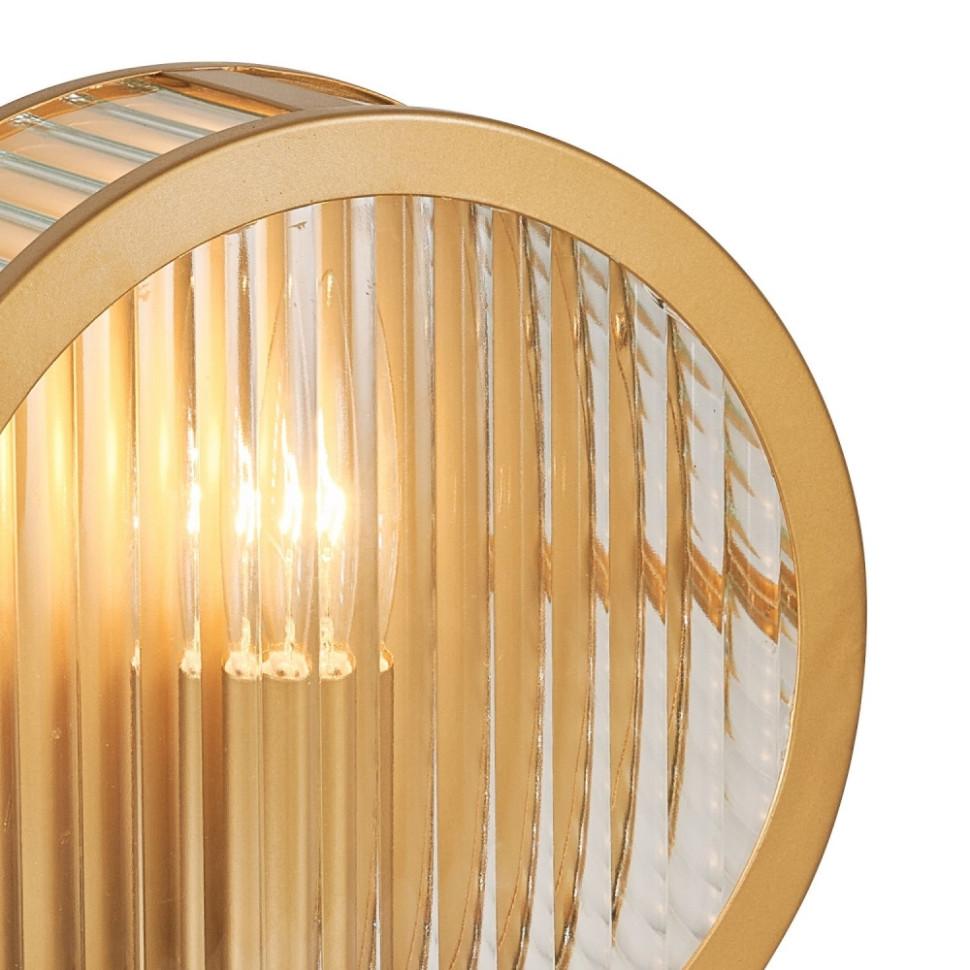 Настенный светильник Favourite Radiales 3099-1W, цвет золото - фото 3