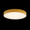 Накладной светильник Loft it Axel 1 10002/24 Yellow 