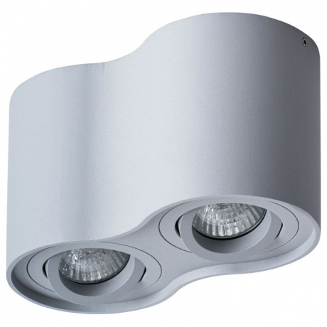 Накладной светильник Arte Lamp Falcon A5645PL-2GY 