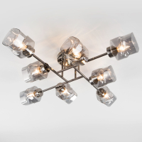 Потолочная люстра Eurosvet Hilari 30165/8 черный жемчуг a047333