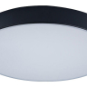 Накладной светильник Loft it Axel 1 10002/24 Black 