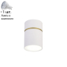 Накладной светильник с лампочкой Favourite Dunia 3067-1C+Lamps Gu10 