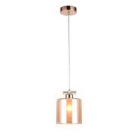 Подвесной светильник Ambrella Light TR TR3578