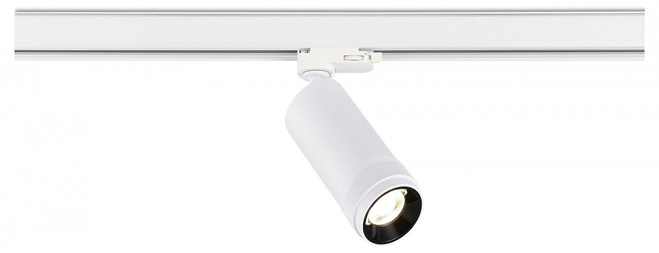 Светильник на штанге ST-Luce ST691 ST691.536.20 