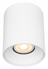 Накладной светильник ST LUCE ST167.502.01