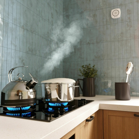 Умный датчик газа Elektrostandard /00 (a060341)