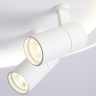 Накладной светильник Ambrella Light FL FL51391