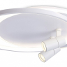 Накладной светильник Ambrella Light FL FL51391
