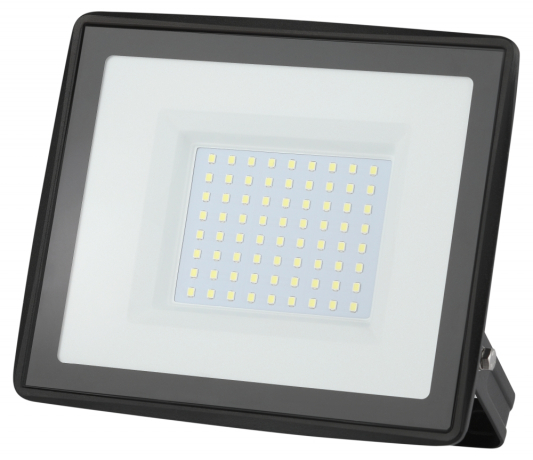 Прожектор светодиодный уличный Эра -0-65K-100 (318870)