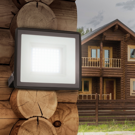 Прожектор светодиодный уличный Эра -0-65K-100 (318870)