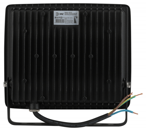 Прожектор светодиодный уличный Эра -0-65K-100 (318870)