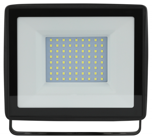 Прожектор светодиодный уличный Эра -0-65K-100 (318870)