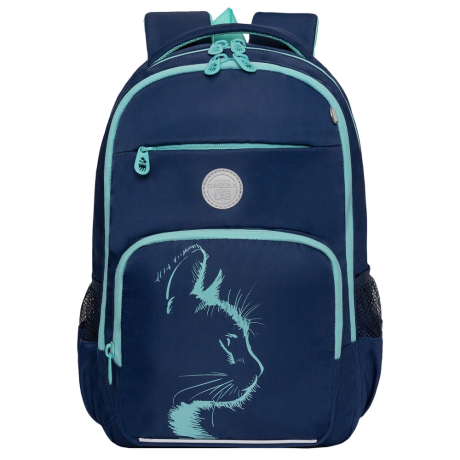 Нарушена упаковка!  <796753> Рюкзак GRIZZLY школьный, анатомическая спинка, 2 отделения, для девочек, "AZURE", 40х25х13 см, RG-564-4/1 (274197)