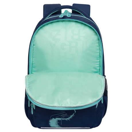 Нарушена упаковка!  <796753> Рюкзак GRIZZLY школьный, анатомическая спинка, 2 отделения, для девочек, "AZURE", 40х25х13 см, RG-564-4/1 (274197)