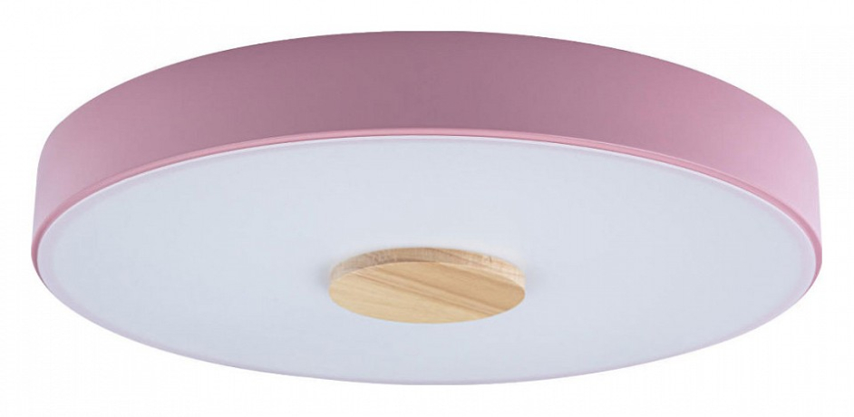 Накладной светильник Loft it Axel 2 10003/24 Pink 