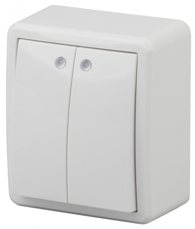 Переключатель двухклавишный с подсветкой ЭРА  10AX 250V 11-1205-01 169481