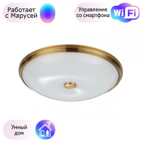 Настенно-потолочный светильник Pelow Odeon Light с поддержкой Маруся 4956/5-М