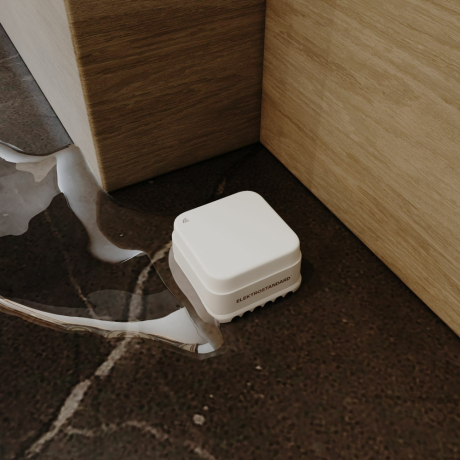 Умный датчик протечки воды Elektrostandard /00 (a060339)